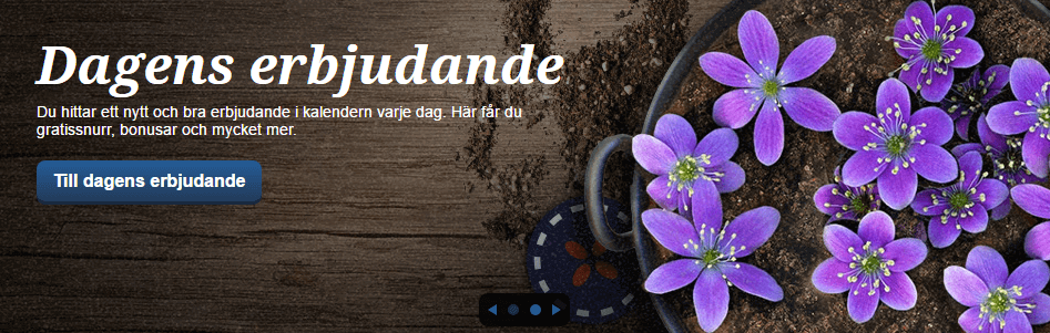 nätcasino nätcasino